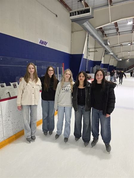 Ice Skating — photo 3